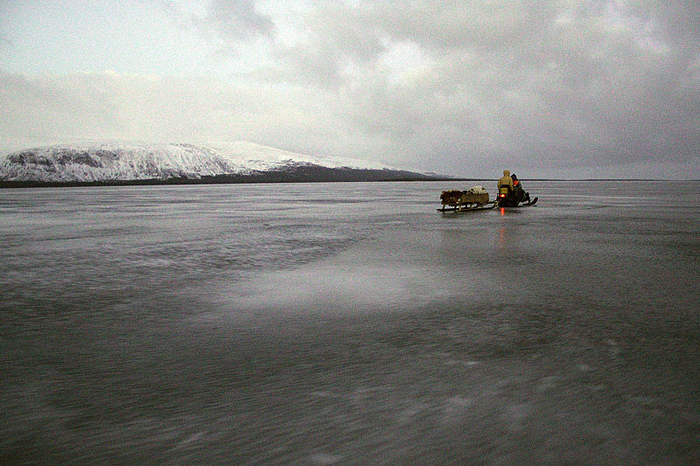 Краснощелье